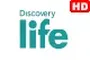 Discovery Life HD